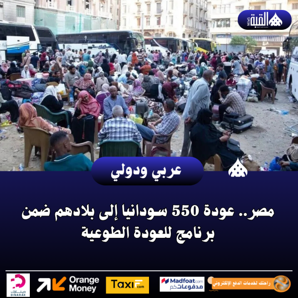 مصر.. عودة 550 سودانيا إلى بلادهم ضمن برنامج للعودة الطوعية