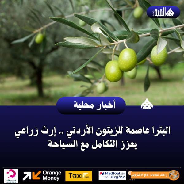 البترا عاصمة للزيتون الأردني .. إرث زراعي يعزز التكامل مع السياحة