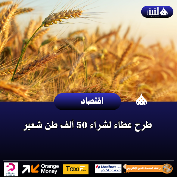 طرح عطاء لشراء 50 ألف طن شعير