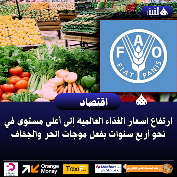 ارتفاع أسعار الغذاء العالمية إلى أعلى مستوى في نحو أربع سنوات بفعل موجات الحر والجفاف