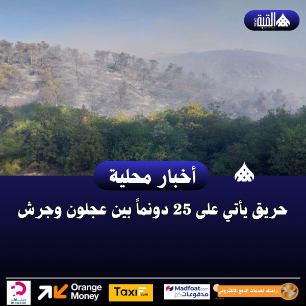 حريق يأتي على 25 دونماً بين عجلون وجرش