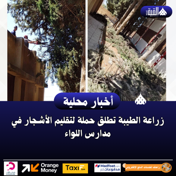 زراعة الطيبة تطلق حملة لتقليم الأشجار في مدارس اللواء