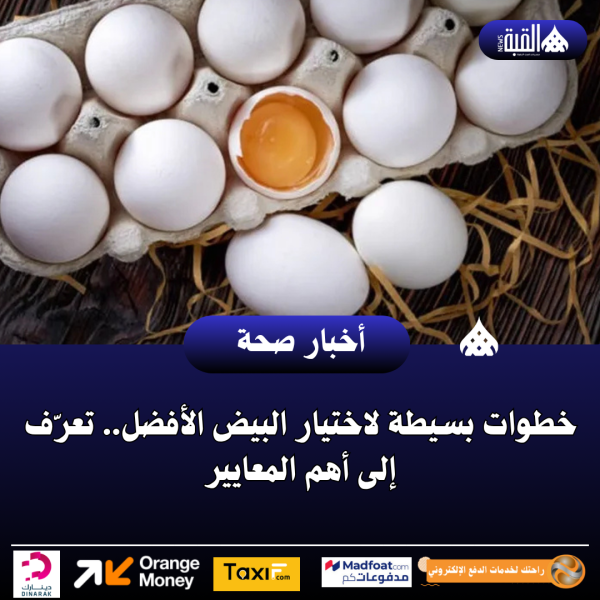 خطوات بسيطة لاختيار البيض الأفضل.. تعرّف إلى أهم المعايير