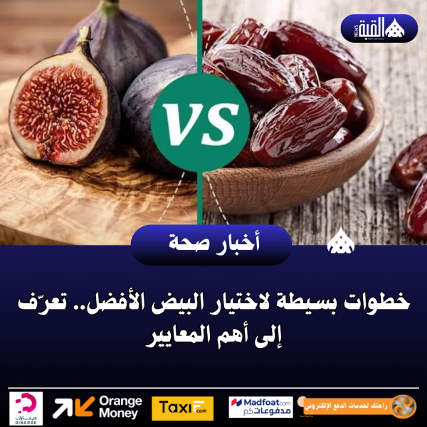 خطوات بسيطة لاختيار البيض الأفضل.. تعرّف إلى أهم المعايير