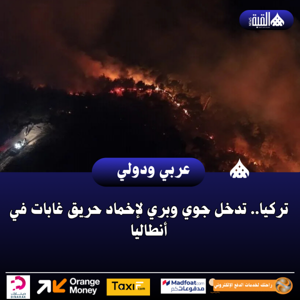 تركيا.. تدخل جوي وبري لإخماد حريق غابات في أنطاليا