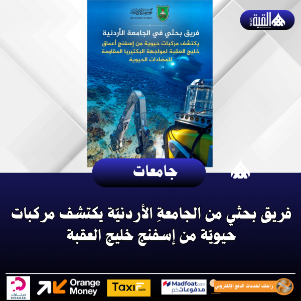 فريق بحثي من الجامعةِ الأردنيّة يكتشف مركبات حيويّة من إسفنج خليج العقبة
