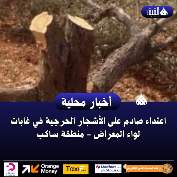 اعتداء صادم على الأشجار الحرجية في غابات لواء المعراض  منطقة ساكب