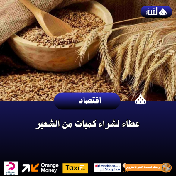 عطاء لشراء كميات من الشعير