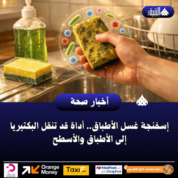 إسفنجة غسل الأطباق.. أداة قد تنقل البكتيريا إلى الأطباق والأسطح