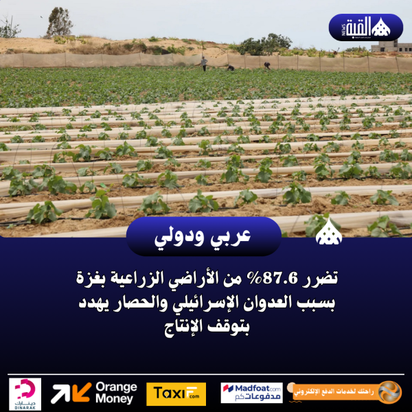تضرر 87.6 من الأراضي الزراعية بغزة بسبب العدوان الإسرائيلي والحصار يهدد بتوقف الإنتاج