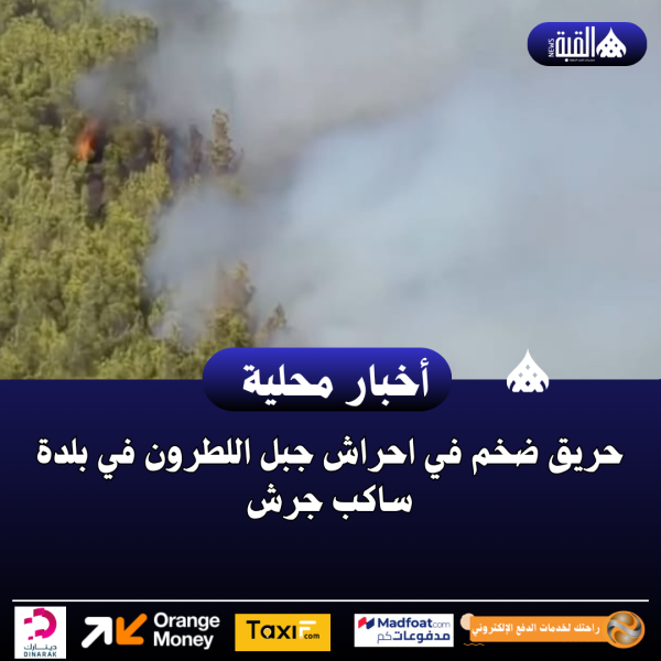 حريق ضخم في احراش جبل اللطرون في بلدة ساكب جرش
