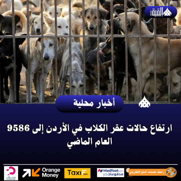 ارتفاع حالات عقر الكلاب في الأردن إلى 9586 العام الماضي