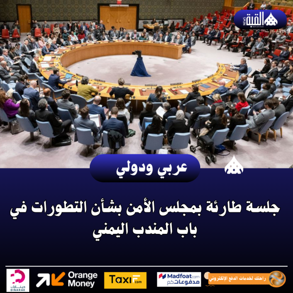جلسة طارئة بمجلس الأمن بشأن التطورات في باب المندب اليمني