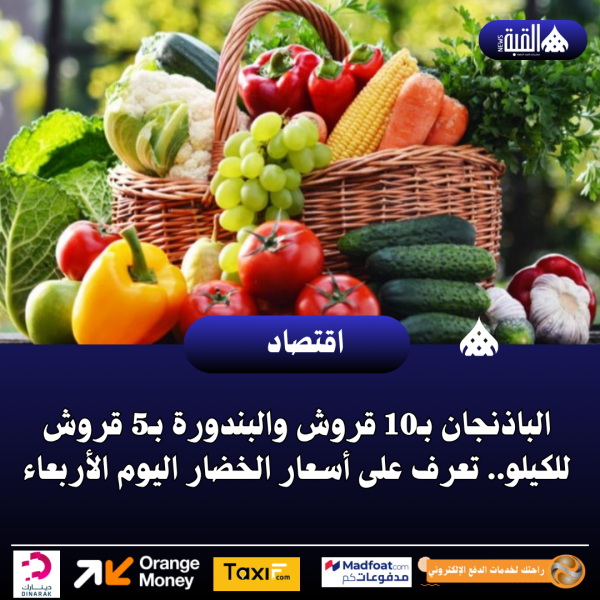 الباذنجان بـ10 قروش والبندورة بـ5 قروش للكيلو.. تعرف على أسعار الخضار اليوم الأربعاء