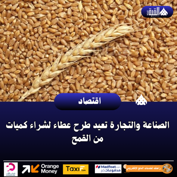 الصناعة والتجارة تعيد طرح عطاء لشراء كميات من القمح