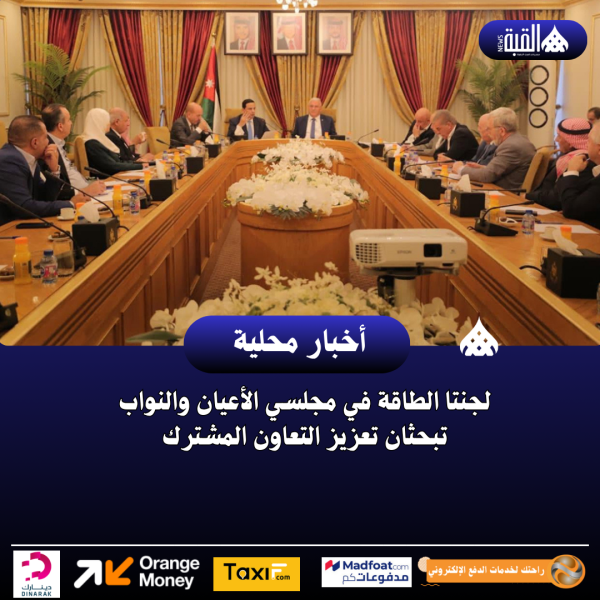 لجنتا الطاقة في مجلسي الأعيان والنواب تبحثان تعزيز التعاون المشترك