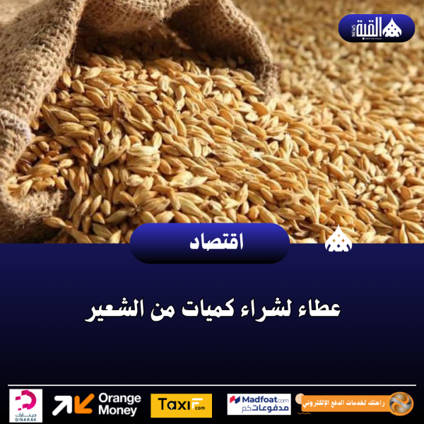 عطاء لشراء كميات من الشعير
