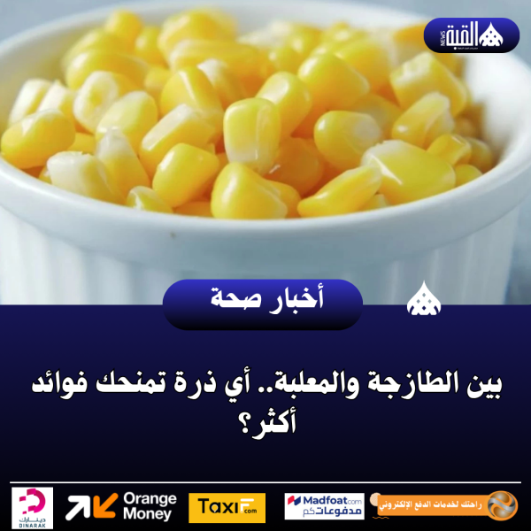 بين الطازجة والمعلبة.. أي ذرة تمنحك فوائد أكثر؟