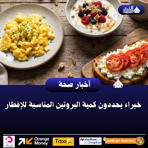 خبراء يحددون كمية البروتين المناسبة للإفطار