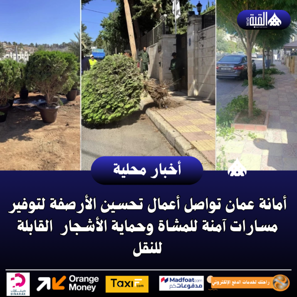 أمانة عمان تواصل أعمال تحسين الأرصفة لتوفير مسارات آمنة للمشاة وحماية الأشجار  القابلة للنقل