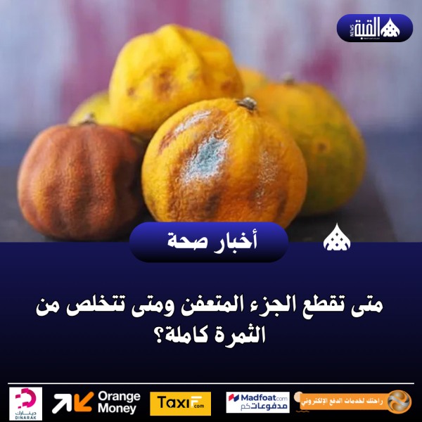 متى تقطع الجزء المتعفن ومتى تتخلص من الثمرة كاملة؟