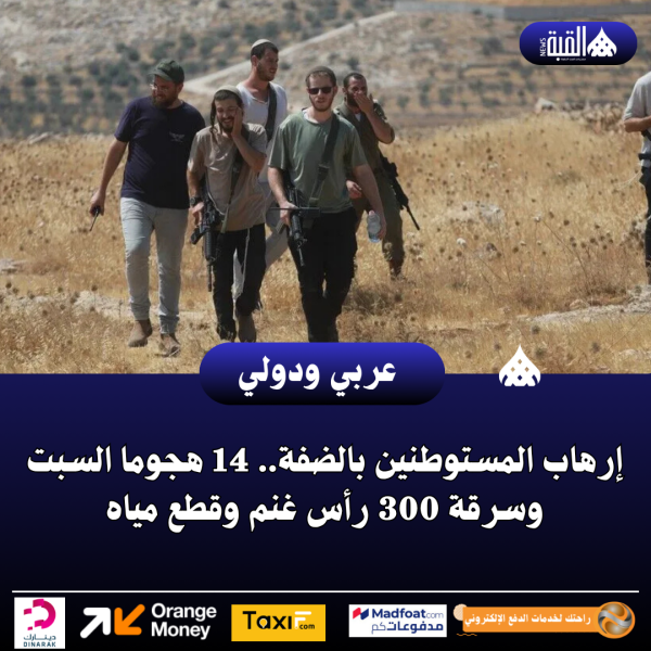 إرهاب المستوطنين بالضفة.. 14 هجوما السبت وسرقة 300 رأس غنم وقطع مياه