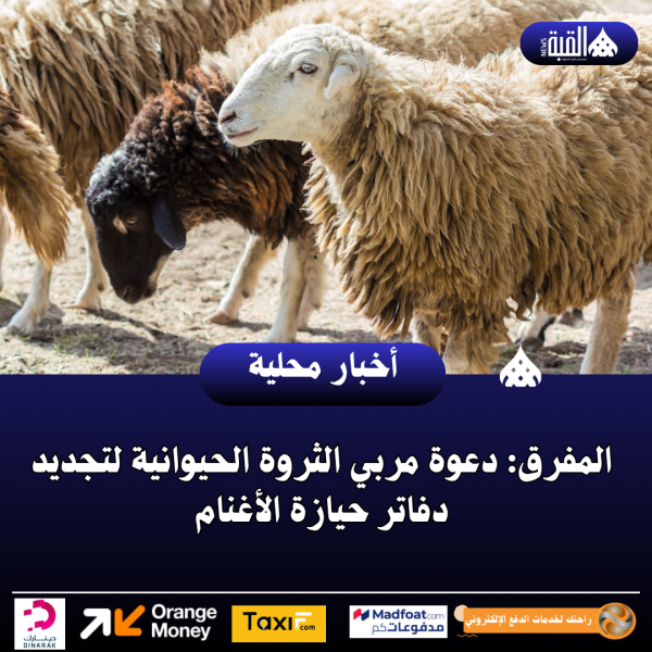 المفرق: دعوة مربي الثروة الحيوانية لتجديد دفاتر حيازة الأغنام