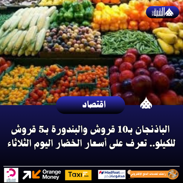 الباذنجان بـ10 قروش والبندورة بـ5 قروش للكيلو.. تعرف على أسعار الخضار اليوم الثلاثاء