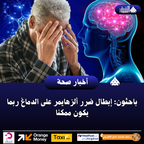 باحثون: إبطال ضرر ألزهايمر على الدماغ ربما يكون ممكنا