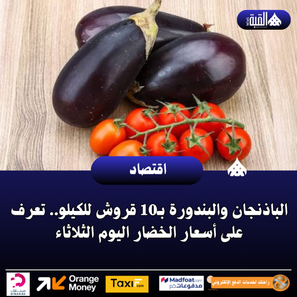 الباذنجان والبندورة بـ10 قروش للكيلو.. تعرف على أسعار الخضار اليوم الثلاثاء