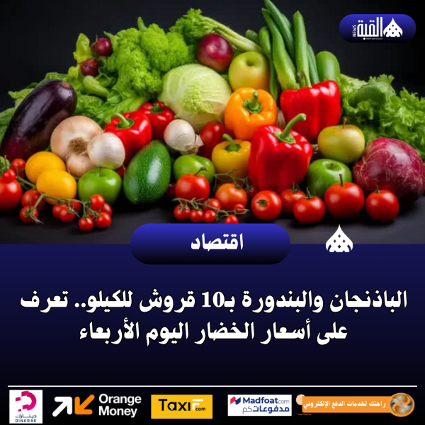 الباذنجان والبندورة بـ10 قروش للكيلو.. تعرف على أسعار الخضار اليوم الأربعاء