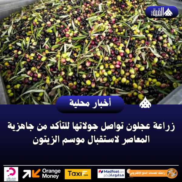 زراعة عجلون تواصل جولاتها للتأكد من جاهزية المعاصر لاستقبال موسم الزيتون