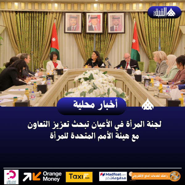 لجنة المرأة في الأعيان تبحث تعزيز التعاون مع هيئة الأمم المتحدة للمرأة