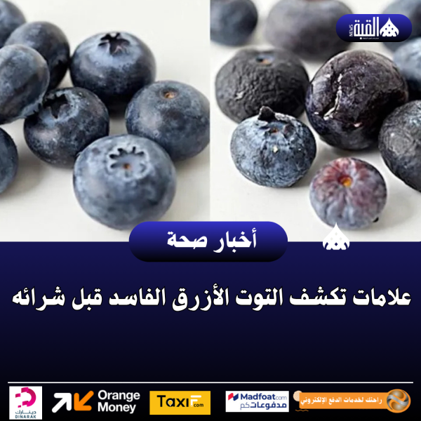 علامات تكشف التوت الأزرق الفاسد قبل شرائه