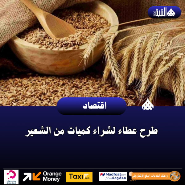 طرح عطاء لشراء كميات من الشعير