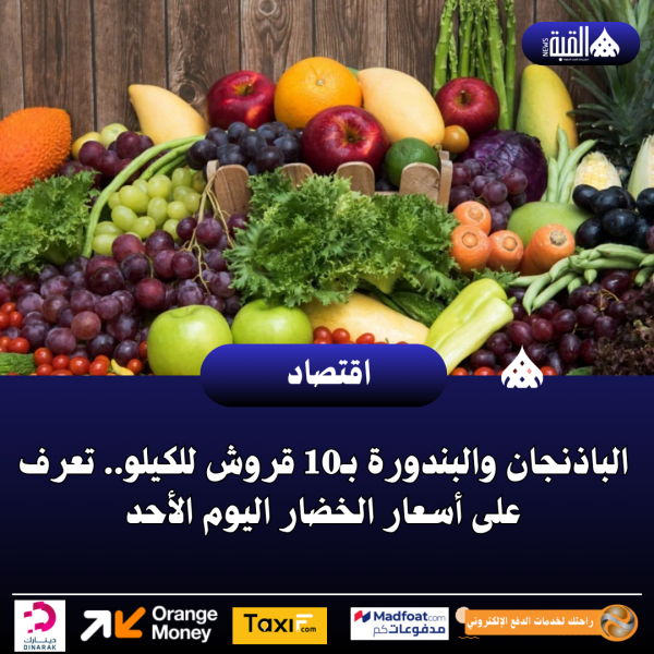 الباذنجان والبندورة بـ10 قروش للكيلو.. تعرف على أسعار الخضار اليوم الأحد