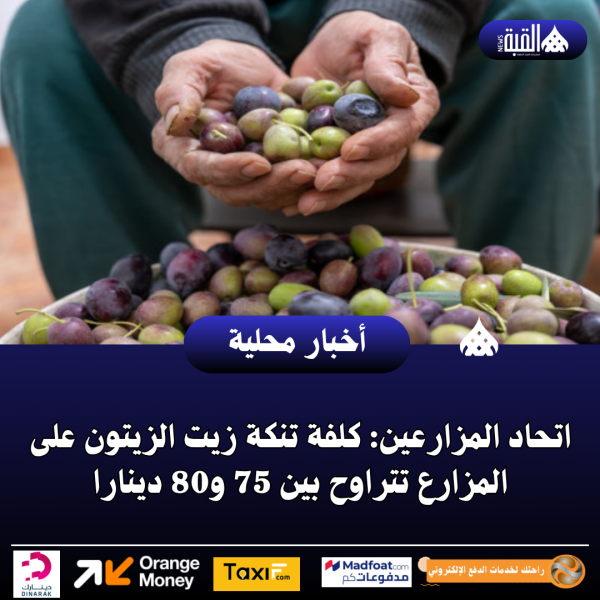 اتحاد المزارعين: كلفة تنكة زيت الزيتون على المزارع تتراوح بين 75 و80 دينارا