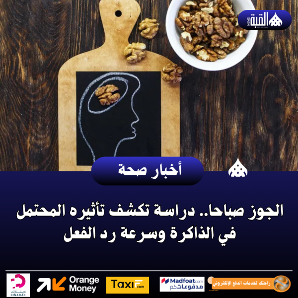 الجوز صباحا.. دراسة تكشف تأثيره المحتمل في الذاكرة وسرعة رد الفعل