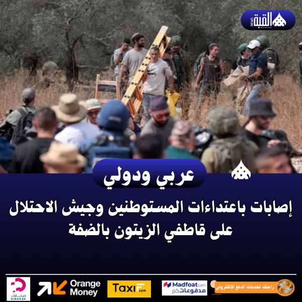 إصابات باعتداءات المستوطنين وجيش الاحتلال على قاطفي الزيتون بالضفة