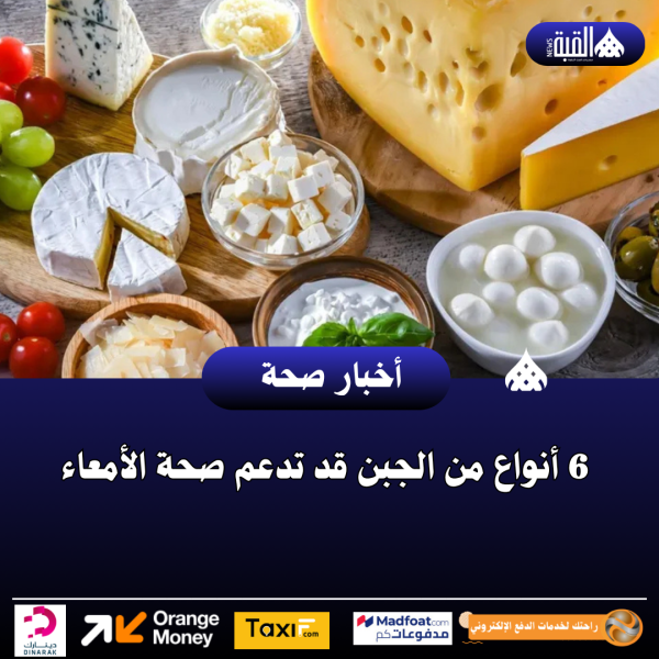 6 أنواع من الجبن قد تدعم صحة الأمعاء