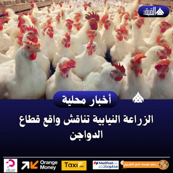 الزراعة النيابية تناقش واقع قطاع الدواجن