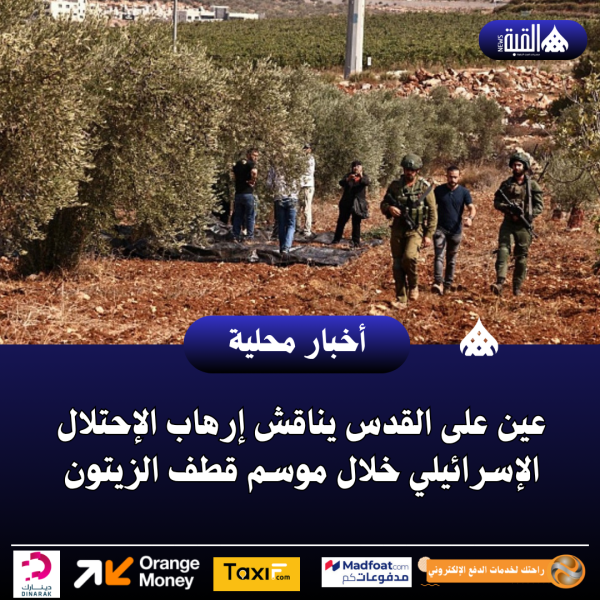 عين على القدس يناقش إرهاب الإحتلال الإسرائيلي خلال موسم قطف الزيتون