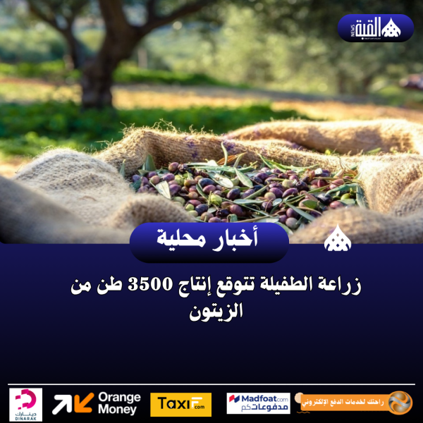 زراعة الطفيلة تتوقع إنتاج 3500 طن من الزيتون