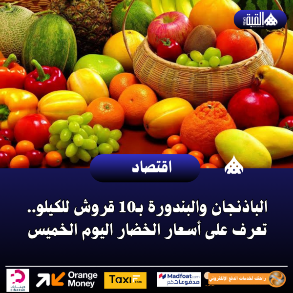 الباذنجان والبندورة بـ10 قروش للكيلو.. تعرف على أسعار الخضار اليوم الخميس