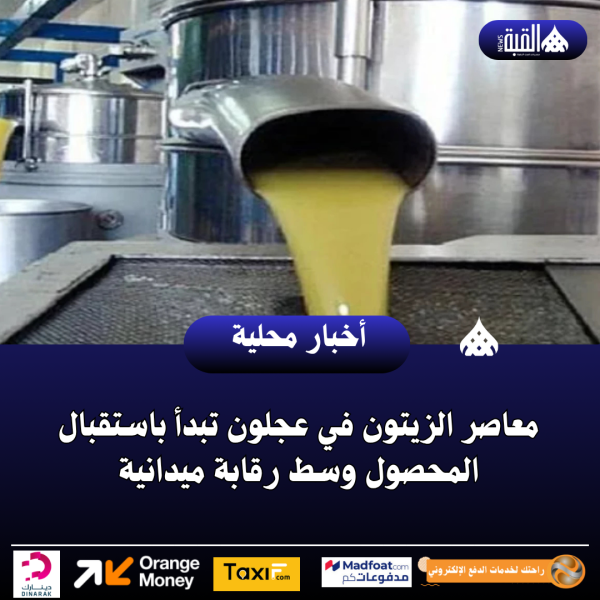 معاصر الزيتون في عجلون تبدأ باستقبال المحصول وسط رقابة ميدانية