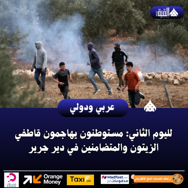 لليوم الثاني: مستوطنون يهاجمون قاطفي الزيتون والمتضامنين في دير جرير
