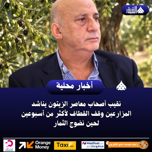 ‏‏نقيب أصحاب معاصر الزيتون يناشد المزارعين وقف القطاف لأكثر من أسبوعين لحين نضوج الثمار