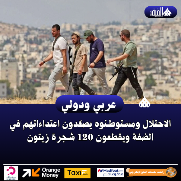 الاحتلال ومستوطـنوه يصعّدون اعتداءاتهم في الضفة ويقطعون 120 شجرة زيتون
