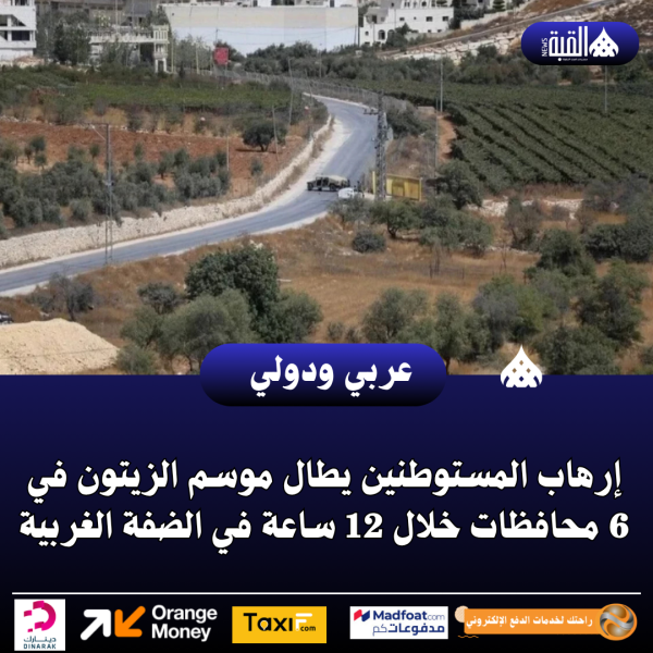 إرهاب المستوطنين يطال موسم الزيتون في 6 محافظات خلال 12 ساعة في الضفة الغربية