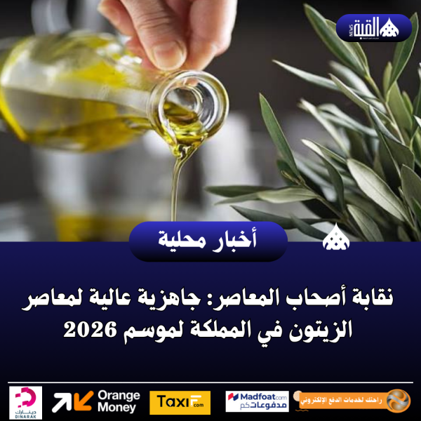 نقابة أصحاب المعاصر: جاهزية عالية لمعاصر الزيتون في المملكة لموسم 2026